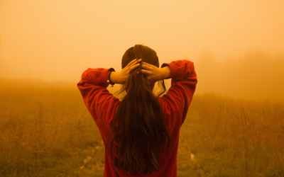 Wildfire Smoke Survival Guide